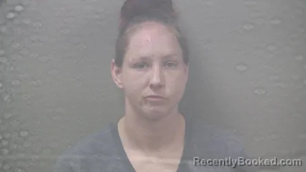 Mugshot of BRITTNIE ANN SCHULTZ booked in Dickinson County, Michigan on July 9, 2026