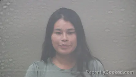 Mugshot of TYRA ROSE MCGESHICK booked in Dickinson County, Michigan on July 13, 2026
