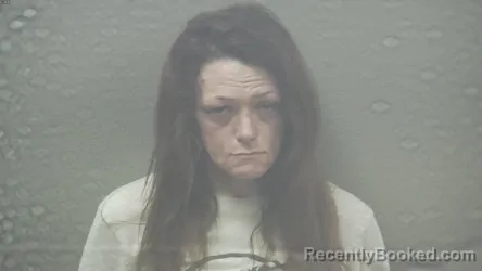 Mugshot of ANDREA LAVONE COX booked in Dickinson County, Michigan on July 13, 2026