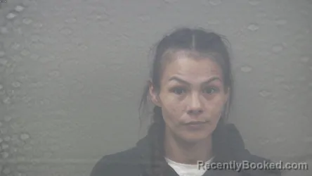Mugshot of KENDRA ANN WANDAHSEGA booked in Dickinson County, Michigan on July 27, 2026