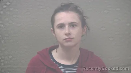 Mugshot of SHYLYNN HOPE NOWACZYK booked in Dickinson County, Michigan on July 31, 2026