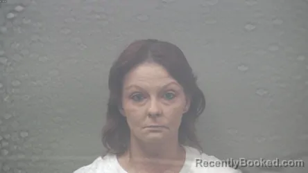 Mugshot of CAMEO LYNN I BRADLEY booked in Dickinson County, Michigan on August 4, 2026