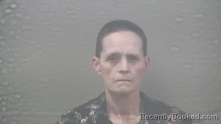 Mugshot of TINA MARIE BOZILE booked in Dickinson County, Michigan on August 4, 2026