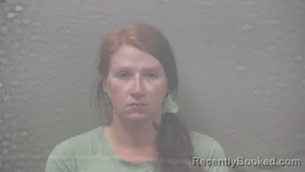 Mugshot of Brittany Ann Carlson booked in Dickinson County, Michigan on August 17, 2026