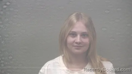 Mugshot of Willow Ariana Davis booked in Dickinson County, Michigan on August 19, 2026