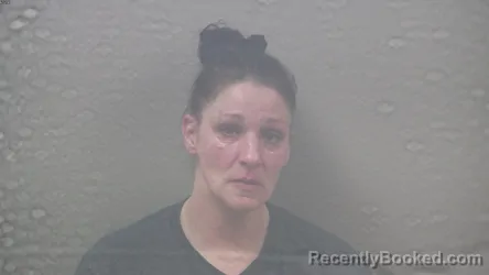 Mugshot of Tylee Marie Ray booked in Dickinson County, Michigan on August 26, 2026