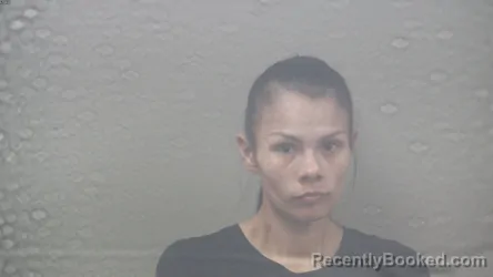 Mugshot of Kendra Ann Wandahsega booked in Dickinson County, Michigan on September 3, 2026