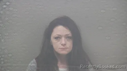 Mugshot of Andrea Lavone Cox booked in Dickinson County, Michigan on September 4, 2026