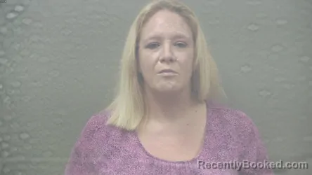 Mugshot of Erin Christine Brookins booked in Dickinson County, Michigan on October 1, 2026