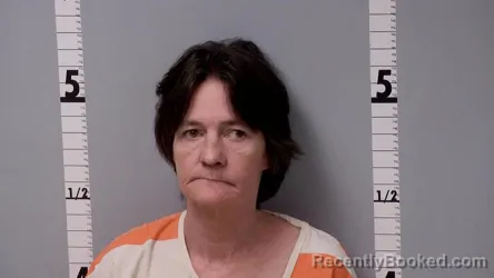 Mugshot of AMY SUE BARRETT