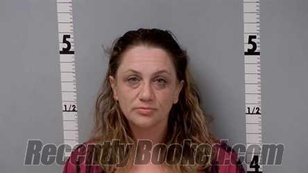 Booking photo from Gratiot County, Michigan