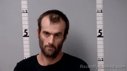 Mugshot of DAVID LOTT HALL booked in Gratiot County, Michigan on June 17, 2026