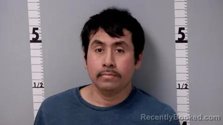 Mugshot of HUMBERTO HERNANDEZ SANTIZ booked in Gratiot County, Michigan on March 29, 2026