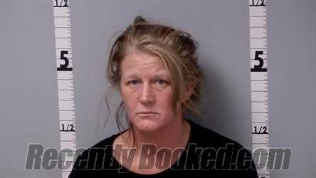 Booking photo from Gratiot County, Michigan