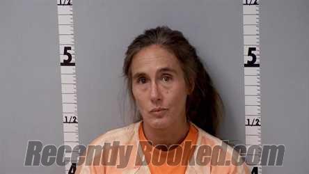 Booking photo from Gratiot County, Michigan