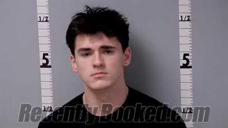 Booking photo from Gratiot County, Michigan