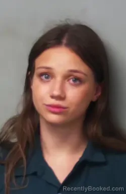 Mugshot of Alexandra Babenko booked in Hillsdale County, Michigan on April 12, 2026