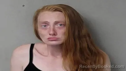 Mugshot of Ashlee Nicole Beem booked in Hillsdale County, Michigan on July 28, 2026
