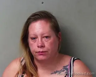 Mugshot of Amanda Lynn Davis