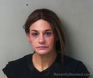 Mugshot of Amanda Ann McCormick booked in Hillsdale County, Michigan on March 26, 2026