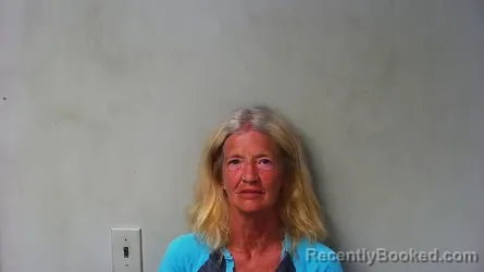 Mugshot of Amy Rosalie Vanhorn booked in Hillsdale County, Michigan on July 26, 2026