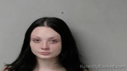 Mugshot of Abigail Kathryn Watson booked in Hillsdale County, Michigan on July 24, 2026