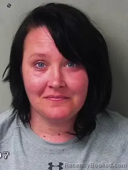 Mugshot of Ashley Elizabeth Wilson