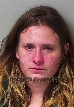 Booking photo from Hillsdale County, Michigan