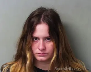 Mugshot of Danette Nicole Ellsworth