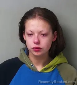 Mugshot of Jamie Lynn Eitniear booked in Hillsdale County, Michigan on March 30, 2026