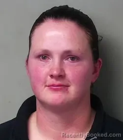 Mugshot of Jami Erin Old booked in Hillsdale County, Michigan on April 18, 2026