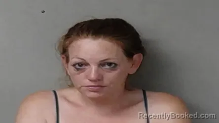 Mugshot of Jessica Renee Wheeler booked in Hillsdale County, Michigan on June 26, 2026