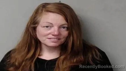Mugshot of Jessica Renee Wheeler booked in Hillsdale County, Michigan on September 22, 2026