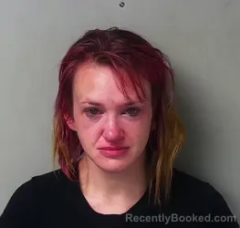 Mugshot of Kelsey Raylynn Cady booked in Hillsdale County, Michigan on April 28, 2026