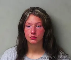 Mugshot of Madelyn Elizabeth Gritzmaker booked in Hillsdale County, Michigan on April 27, 2026