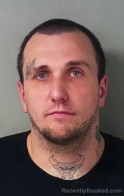 Mugshot of Roland Edward Demzik booked in Hillsdale County, Michigan on March 27, 2026