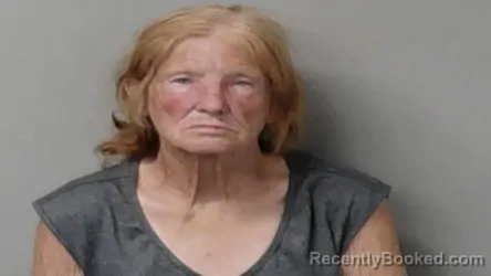Mugshot of Rebecca Veronica Gannon booked in Hillsdale County, Michigan on August 30, 2026