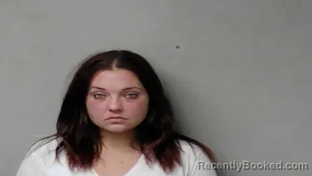Mugshot of Shelby Renee Ellsworth booked in Hillsdale County, Michigan on October 3, 2026