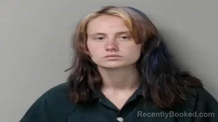 Mugshot of Shyanne Emily King booked in Hillsdale County, Michigan on June 5, 2026