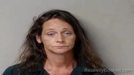 Mugshot of Shannon Kathlyn Larue booked in Hillsdale County, Michigan on July 10, 2026
