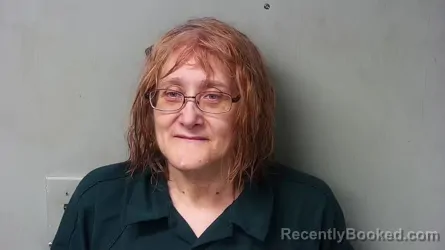 Mugshot of Susan Ann Sova