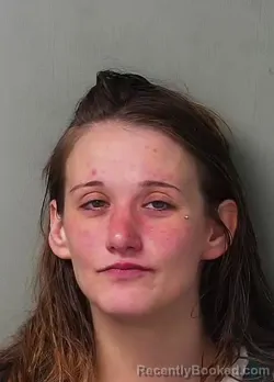 Mugshot of Shalei Kay Wasnich booked in Hillsdale County, Michigan on April 29, 2026