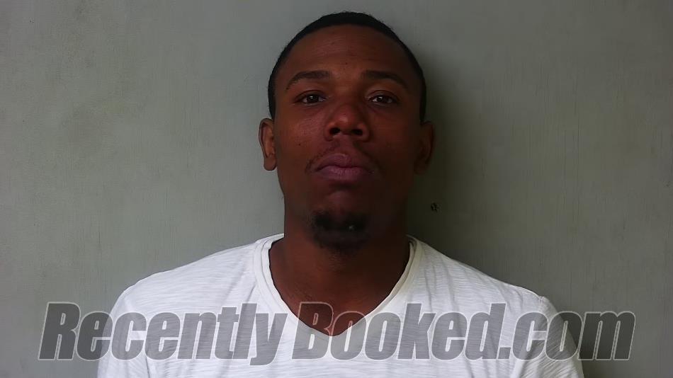 Booking photo from Hillsdale County, Michigan