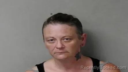 Mugshot of Terra Louise Mcgee booked in Hillsdale County, Michigan on August 27, 2026