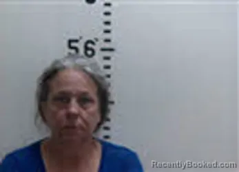 Mugshot of LISA M OVERBY