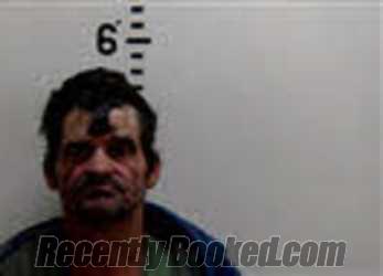 Mugshot of RANDY LEE CHILDRESS booked in Person County, North Carolina on June 29, 2026