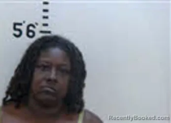 Mugshot of LAVONDA MICHELLE HERBIN booked in Person County, North Carolina on July 3, 2026
