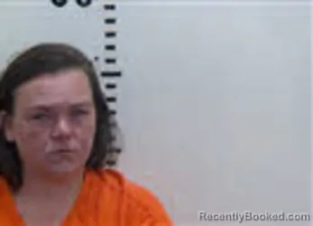 Mugshot of BRITTANY RENEE BOWES