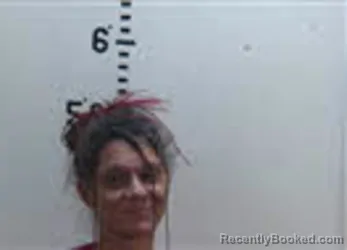 Mugshot of Shana Reaves Koretz booked in Person County, North Carolina on September 14, 2026