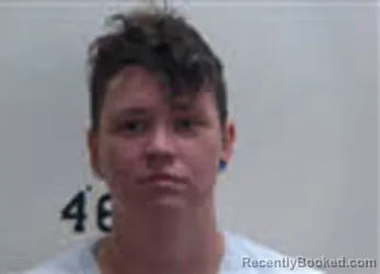 Mugshot of AMBER LEIGH ALLEN booked in Person County, North Carolina on April 3, 2026